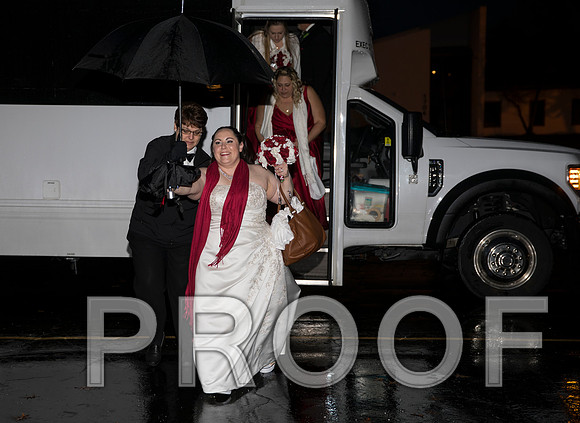 8L2A6136 aaa Wedding Photos - Bride & Groom with the bridal party