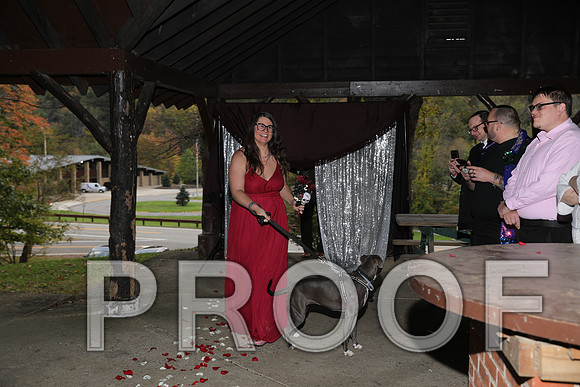 8L2A3281 Wedding Photos - The ceremony