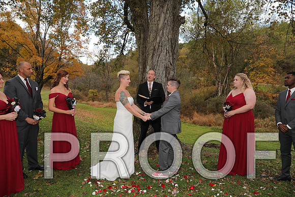8L2A3317 Wedding Photos - The ceremony