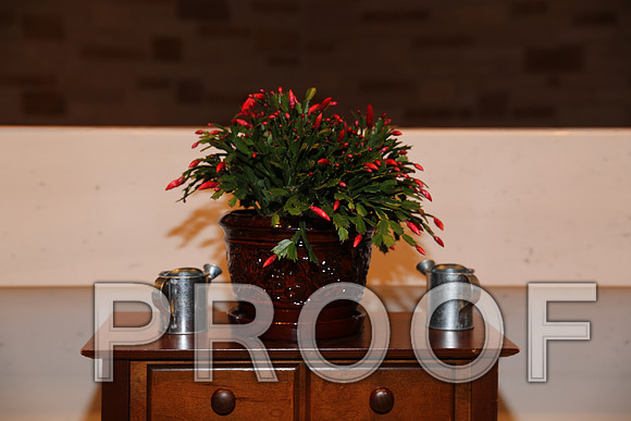 8L2A5852 Wedding Photos - Bride & Groom with family