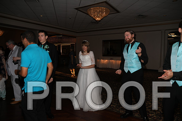 8L2A1503 Wedding Reception Let the Party Start