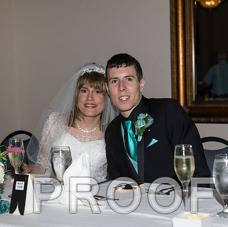 8L2A1283 aaa Wedding Toasts to the bride and groom