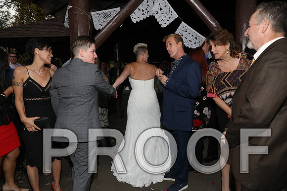 8L2A3451 Wedding Photos - The ceremony