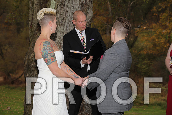 8L2A3425 Wedding Photos - The ceremony