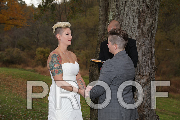 8L2A3356 Wedding Photos - The ceremony