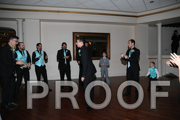 8L2A1487 Wedding Reception Let the Party Start