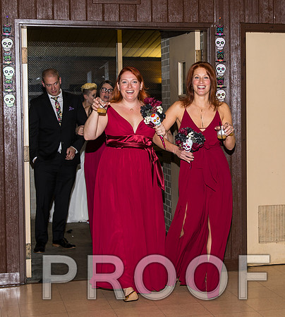 8L2A3629 aaa Wedding Photos - Welcome to the reception