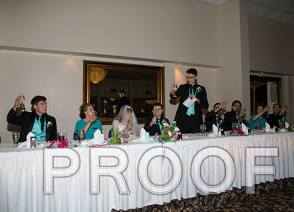 8L2A1305 aaa Wedding Toasts to the bride and groom