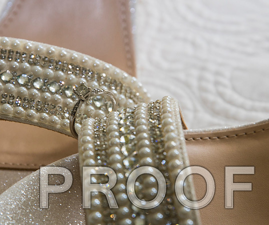 8L2A3064 aaa 1 Wedding Photos - The bride getting ready for the big day