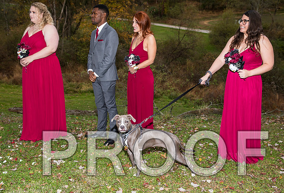 8L2A3307 aaa Wedding Photos - The ceremony