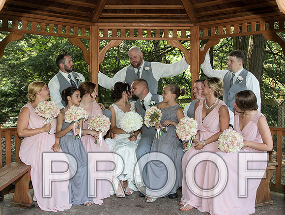 IF6A5623 aaa Wedding - Bride and Groom with the bridal party