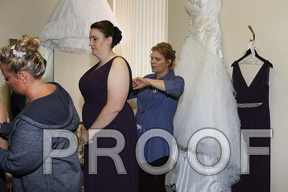 IF6A7650 Wedding - Bride with family and bridesmaids