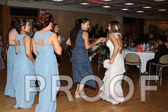 IF6A2883 / The Wedding Reception - Let the Party start