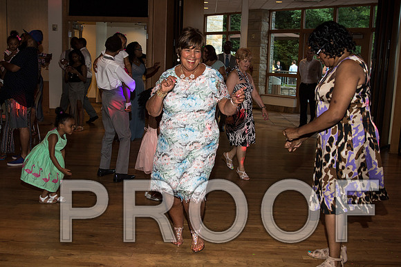 IF6A2800 aaa / The Wedding Reception - Let the Party start