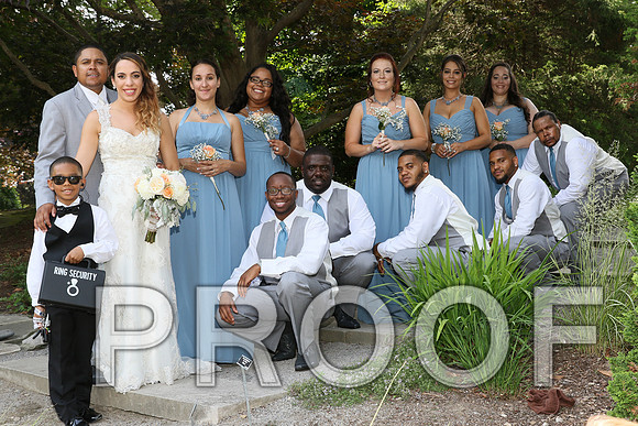 IF6A2302 / The Wedding - Bride & Groom with the Bridal Party