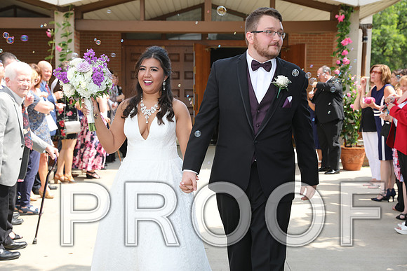 8L2A5709 Wedding - Cheers to the Bride and Groom