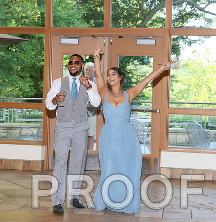 IF6A2496 / The Wedding Reception - Introducing the Bridal Party