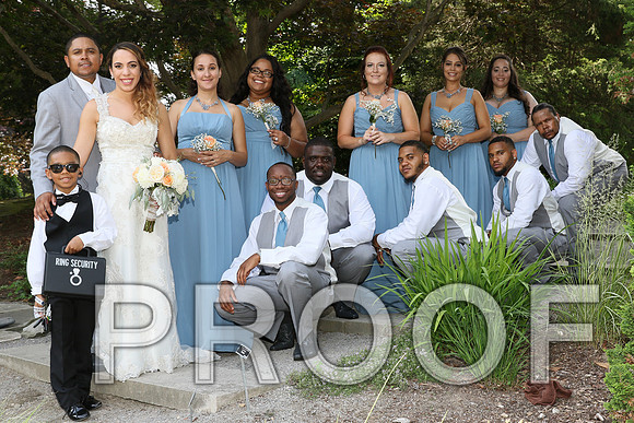 IF6A2299 / The Wedding - Bride & Groom with the Bridal Party
