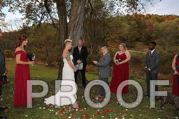 8L2A3405 Wedding Photos - The ceremony