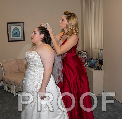 8L2A5560 aaa Wedding Photos - Bride with bridal party and family