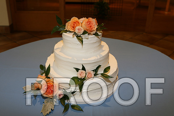 IF6A2033 / The Wedding - The Bride and Groom
