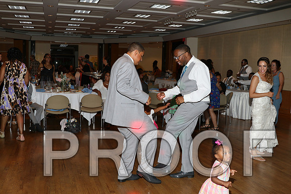 IF6A2735 / The Wedding Reception - Let the Party start