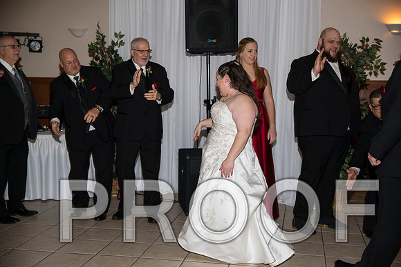 8L2A6290 aaa Wedding Photos - The Reception