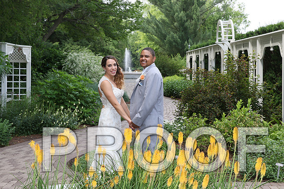 IF6A2078 / The Wedding - The Bride and Groom