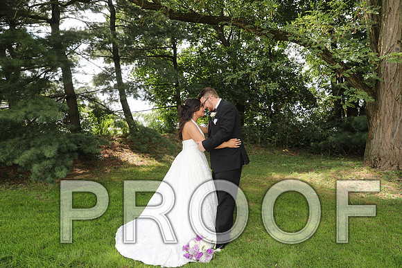 8L2A5911 Wedding - Bride and Groom with the Bridal Party