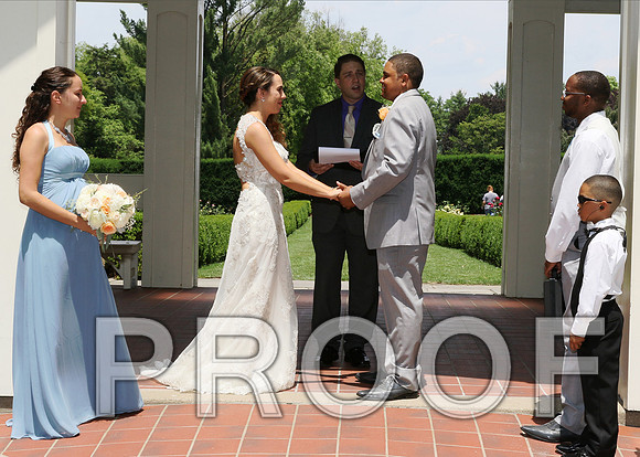 IF6A1798 aaa / The Wedding Reception - Guests
