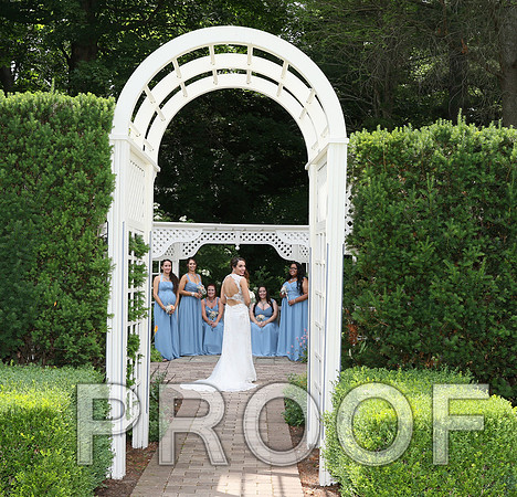 IF6A2202 / The Wedding - Bride & Groom with the Bridal Party