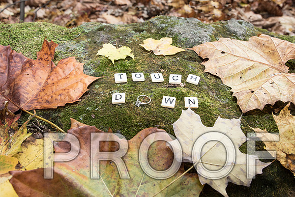 IF6A8930 aaa Engagement Session at Millcreek Park