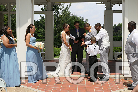 IF6A1861 / The wedding Ceremony