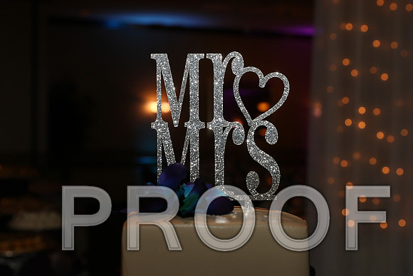 IF6A8303 Wedding Reception