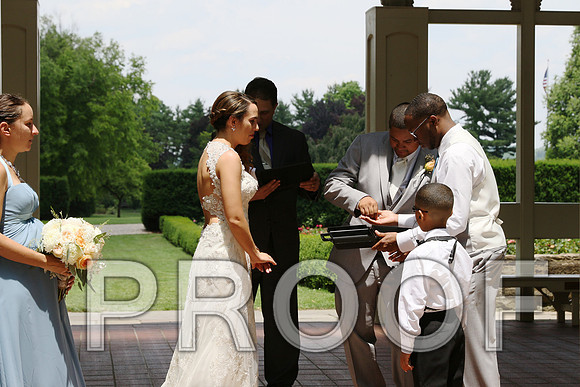 IF6A1865 / The wedding Ceremony
