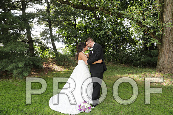 8L2A5912 Wedding - Bride and Groom with the Bridal Party