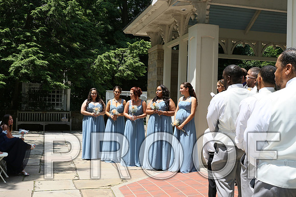 IF6A1766 / The wedding Ceremony