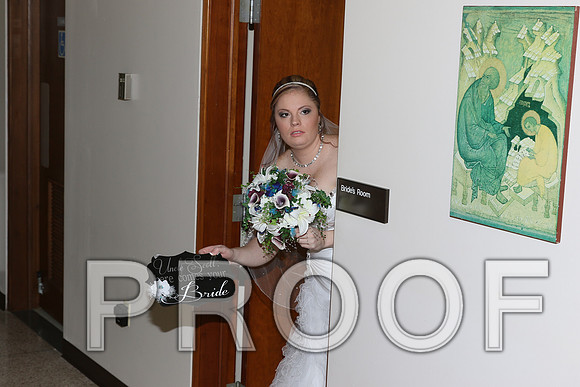 IF6A7850 Wedding - Bride with family and bridesmaids