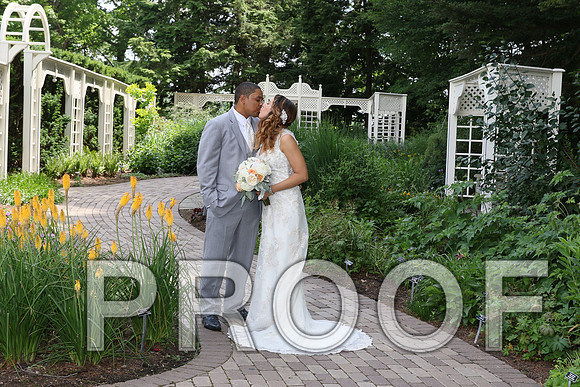 IF6A2064 / The Wedding - The Bride and Groom