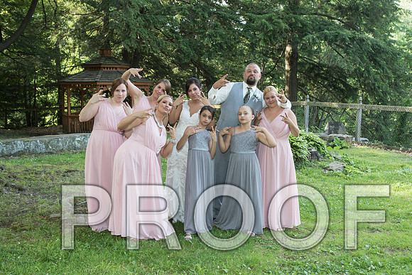 IF6A5645 aaa Wedding - Bride and Groom with the bridal party