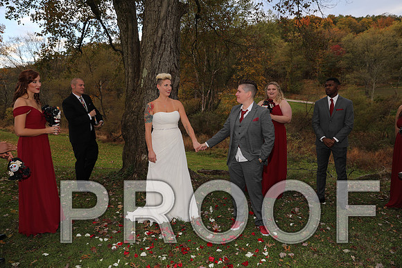 8L2A3447 Wedding Photos - The ceremony