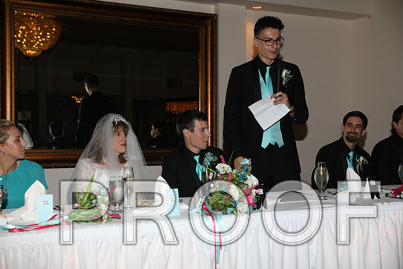 8L2A1299 Wedding Toasts to the bride and groom