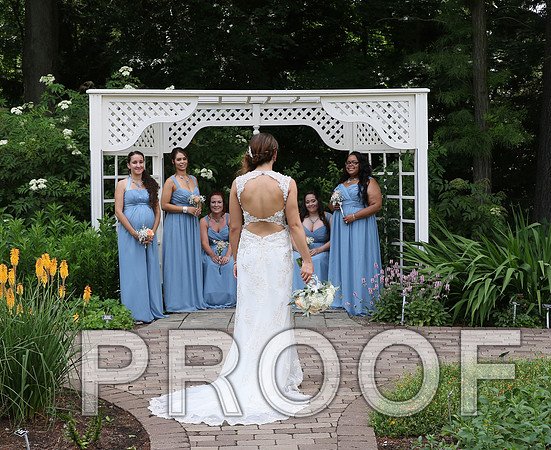 IF6A2205 / The Wedding - Bride & Groom with the Bridal Party