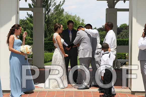 IF6A1823 / The wedding Ceremony