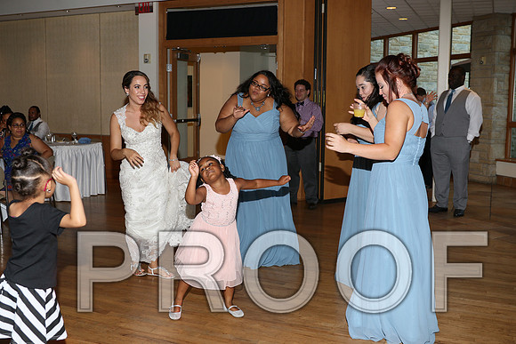 IF6A2873 / The Wedding Reception - Let the Party start