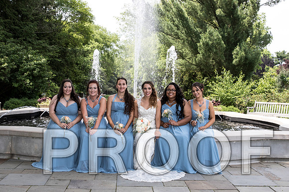 IF6A2220 aaa / The Wedding - Bride & Groom with the Bridal Party