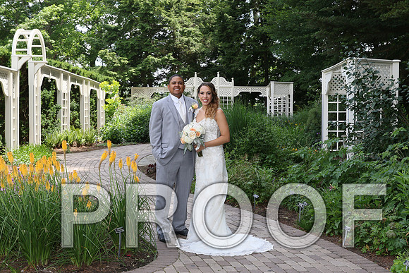 IF6A2059 / The Wedding - The Bride and Groom