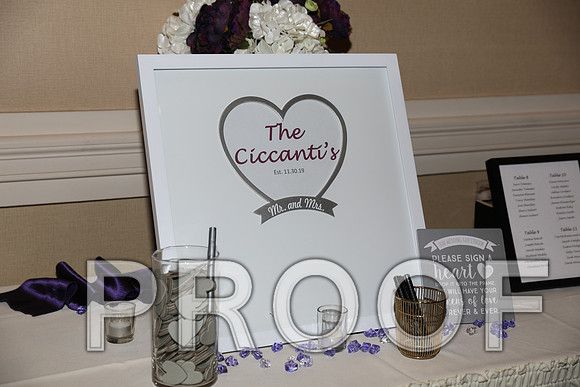 8L2A5555 Wedding Photos - Bride getting ready