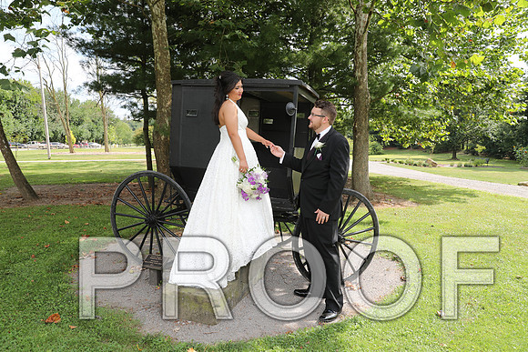8L2A5869 Wedding - Bride and Groom with the Bridal Party