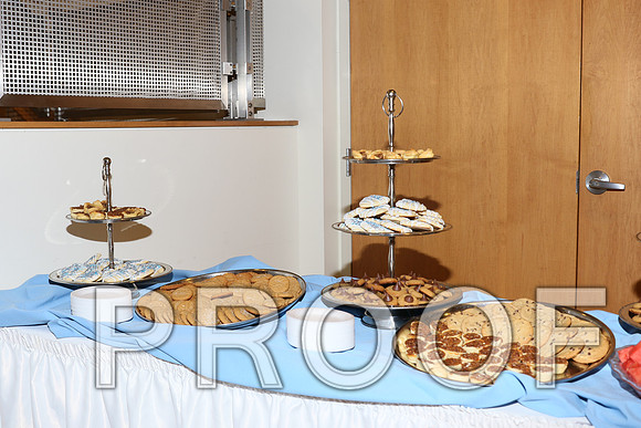 IF6A2376 / The Wedding Reception - Guests